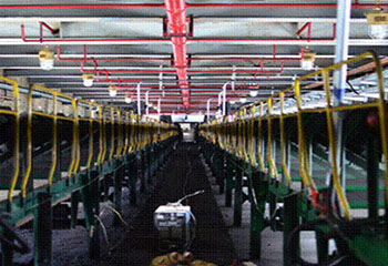 SPL/DZ型消防噴霧自動滅火系統裝置